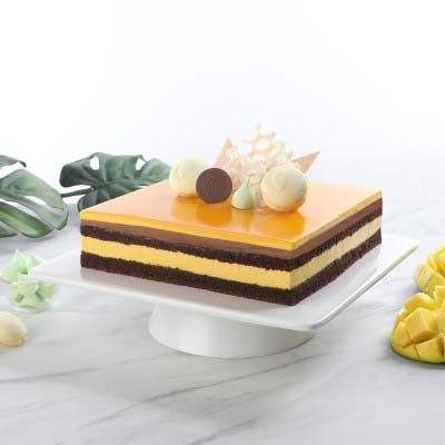 Mango Cassata 20 x 20 cm