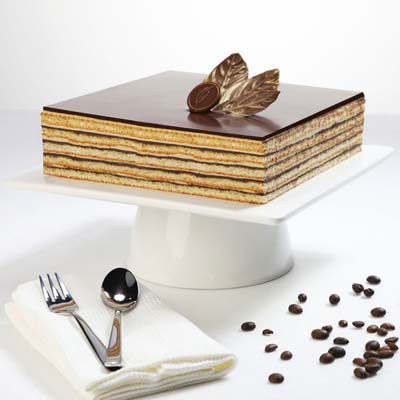 Opera Cake 20 x 20 cm